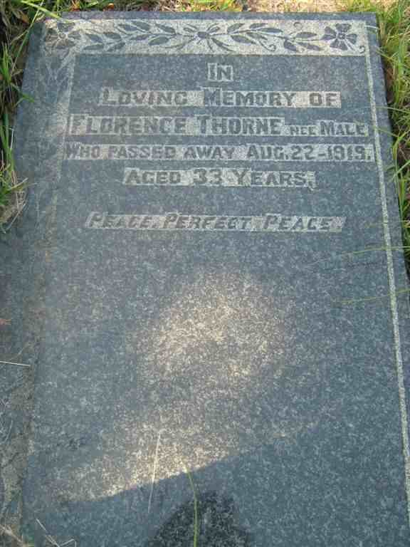 THORNE Florence nee MALE -1919