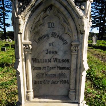 WILSON John William 1860-1904