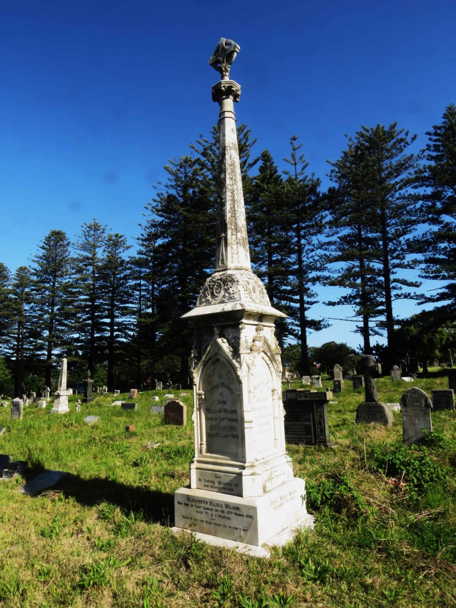 WILSON John William 1860-1904 & Elizabeth Maria -1909