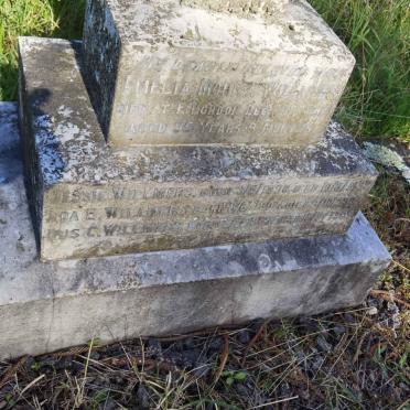 WILLMERS Jessie 1890-1890 :: WILLMERS Amelia Monica -1921