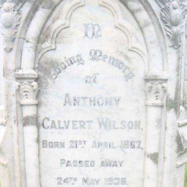WILSON Anthony Calvert 1862-1938 &amp; Ethel Maud 1865-1962 :: WILSON John William 1860-1904 :: WILSON Elizabeth Maria -1909