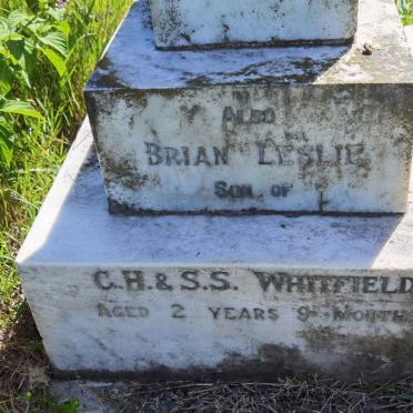 WHITFIELD Brian Leslie