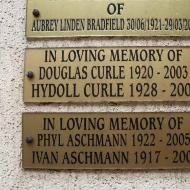 ASCHMANN :: CURLE
