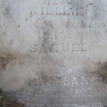 GIBSON Samuel -1897 &amp; Sophia -1886 :: GIBSON William -1891 :: GIBSON Samuel -1878 :: GIBSON Maitland -1878