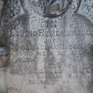 GIBSON Samuel -1897 &amp; Sophia -1886 :: GIBSON William -1891 :: GIBSON Samuel -1878 :: GIBSON Maitland -1878