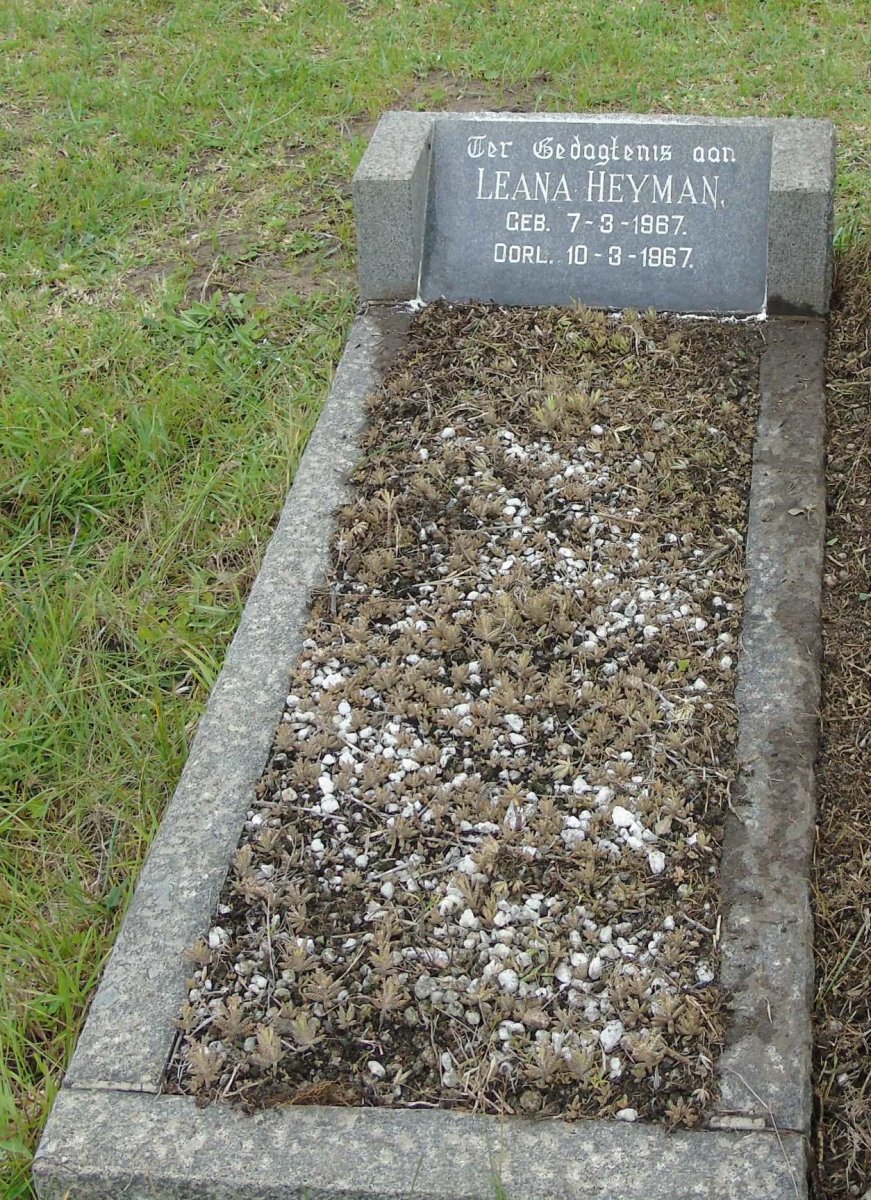 HEYMAN Leana 1967-1967