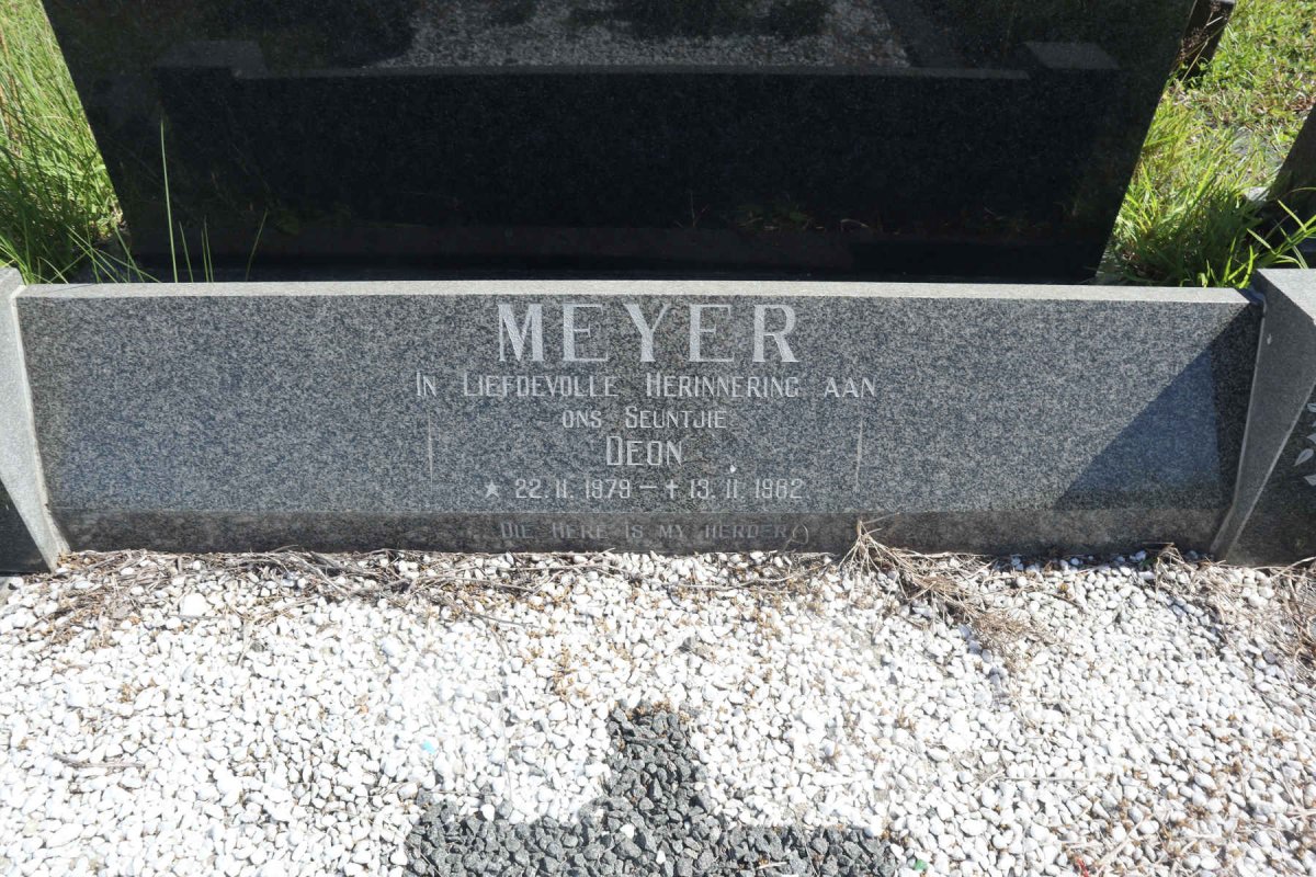 MEYER Deon 1979-1982