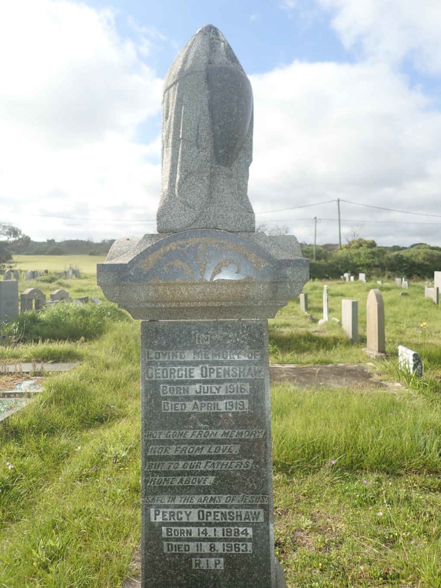 OPENSHAW William -1919 &amp; Susan -1920 :: OPENSHAW Georgie 1916-1919 :: OPENSHAW Percy 1884-1963
