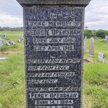 OPENSHAW Percy 1884-1963 :: OPENSHAW George 1916-1919