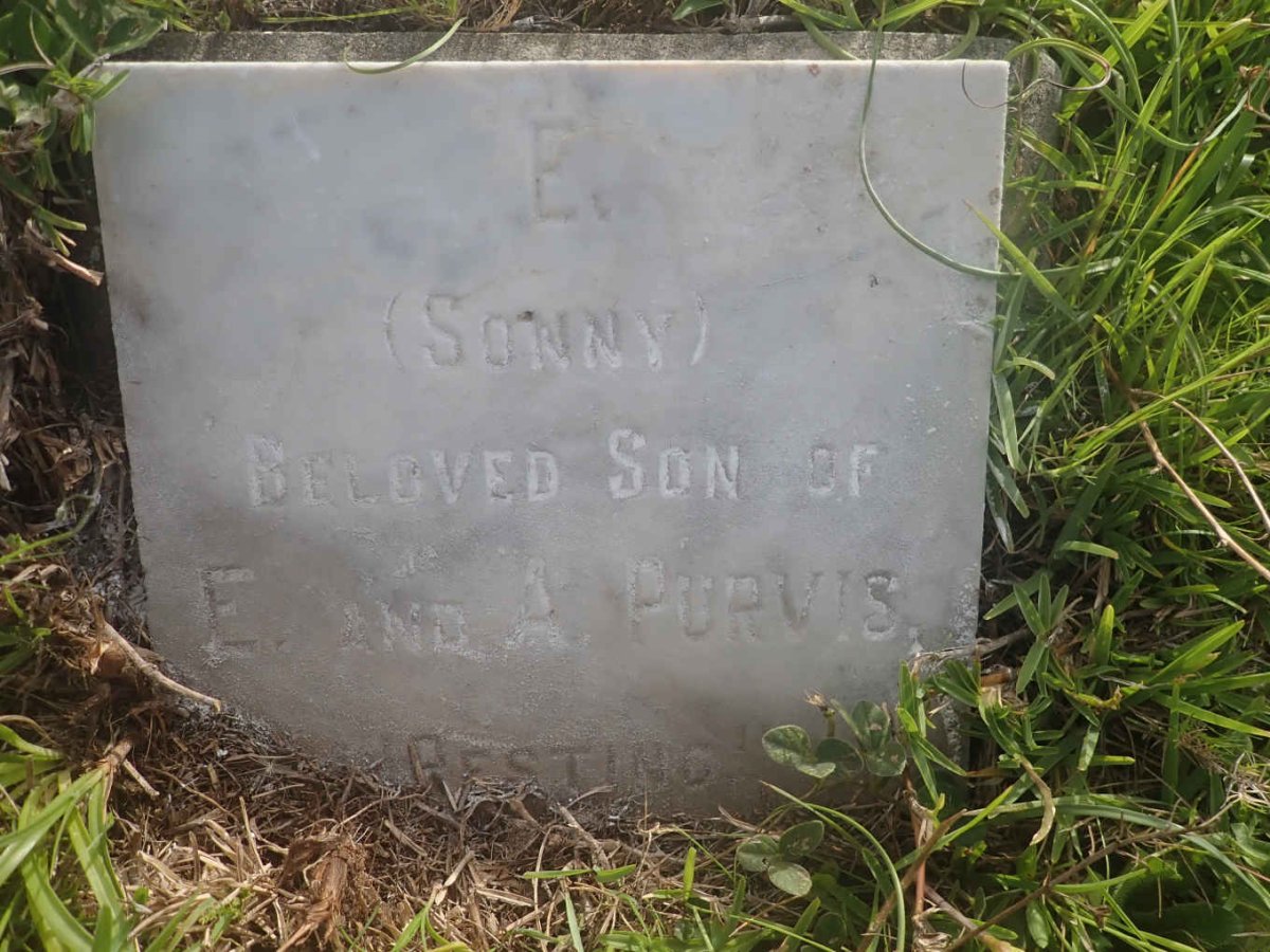 PURVIS E.