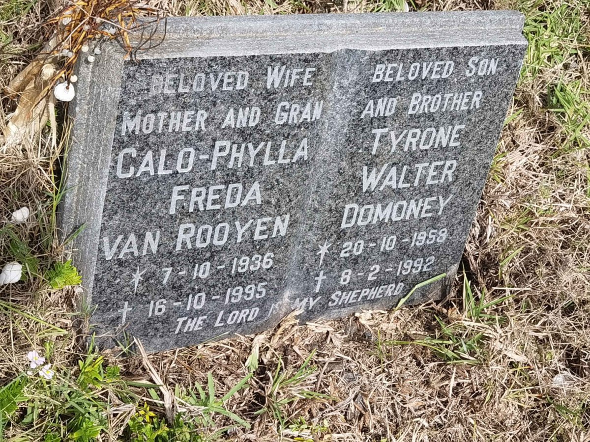 ROOYEN Calo-Phylla Freda, van 1936-1995 :: DOMONEY Tyrone Walter 1958-1992