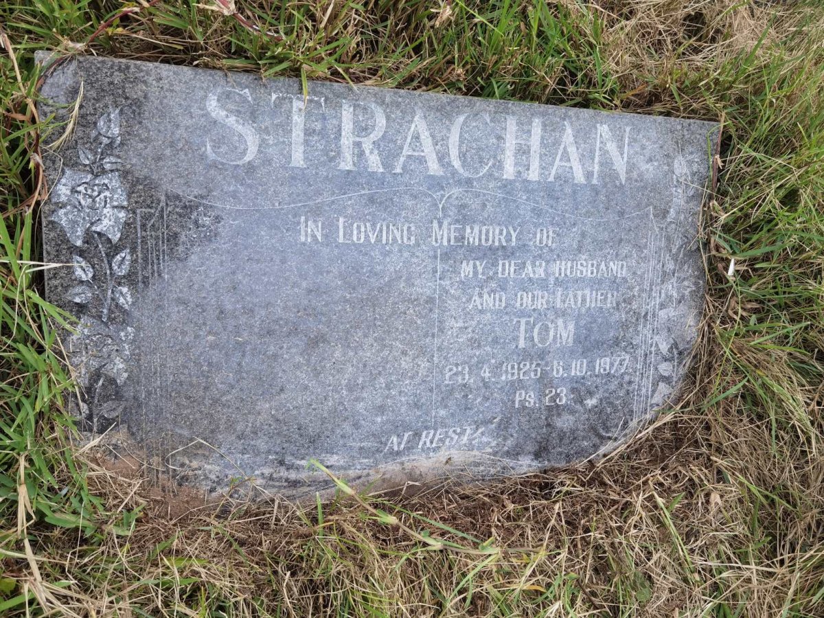 STRACHAN Tom 1925-1977