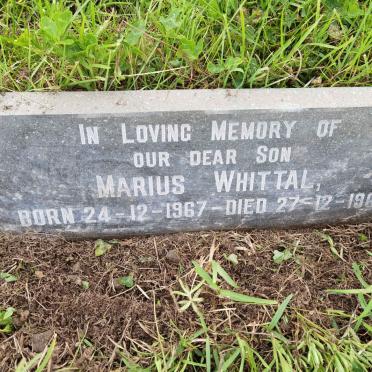 WHITTAL Marius 1967-1969