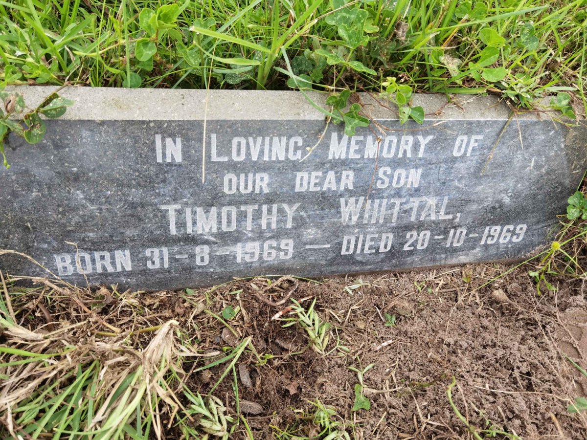 WHITTAL Timothy 1969-1969