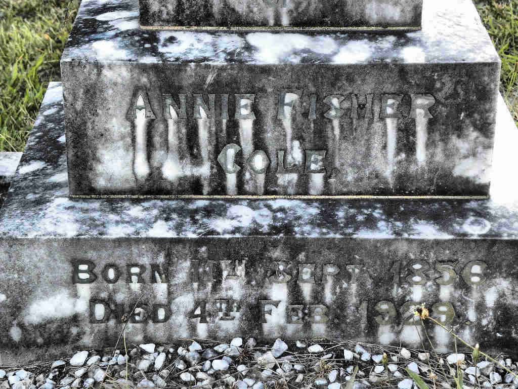 COLE Annie nee FISHER 1856-1929