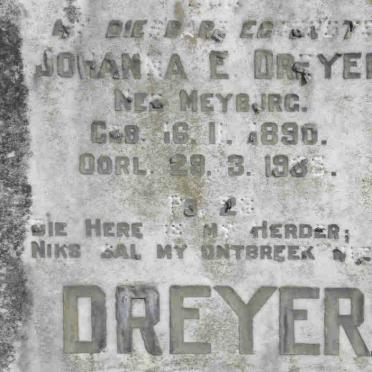 D - Vanne :: Surnames - D