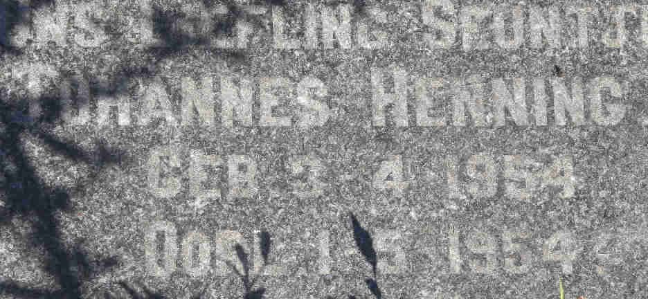 HENNING Johannes 1954-1954