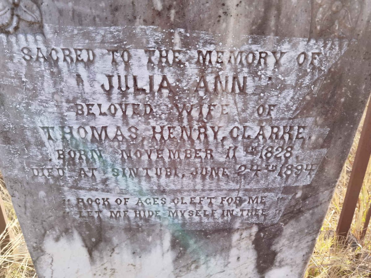 CLARKE Julia Ann 1828-1894