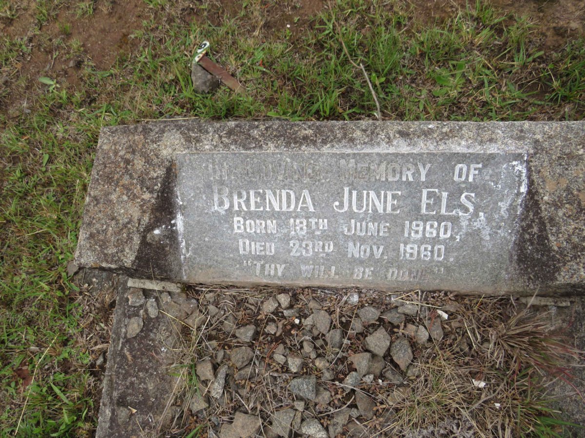 ELS Brenda June 1960-1960