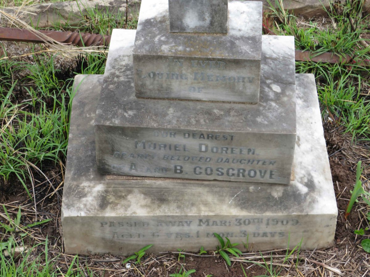 COSGROVE Muriel Doreen -1909