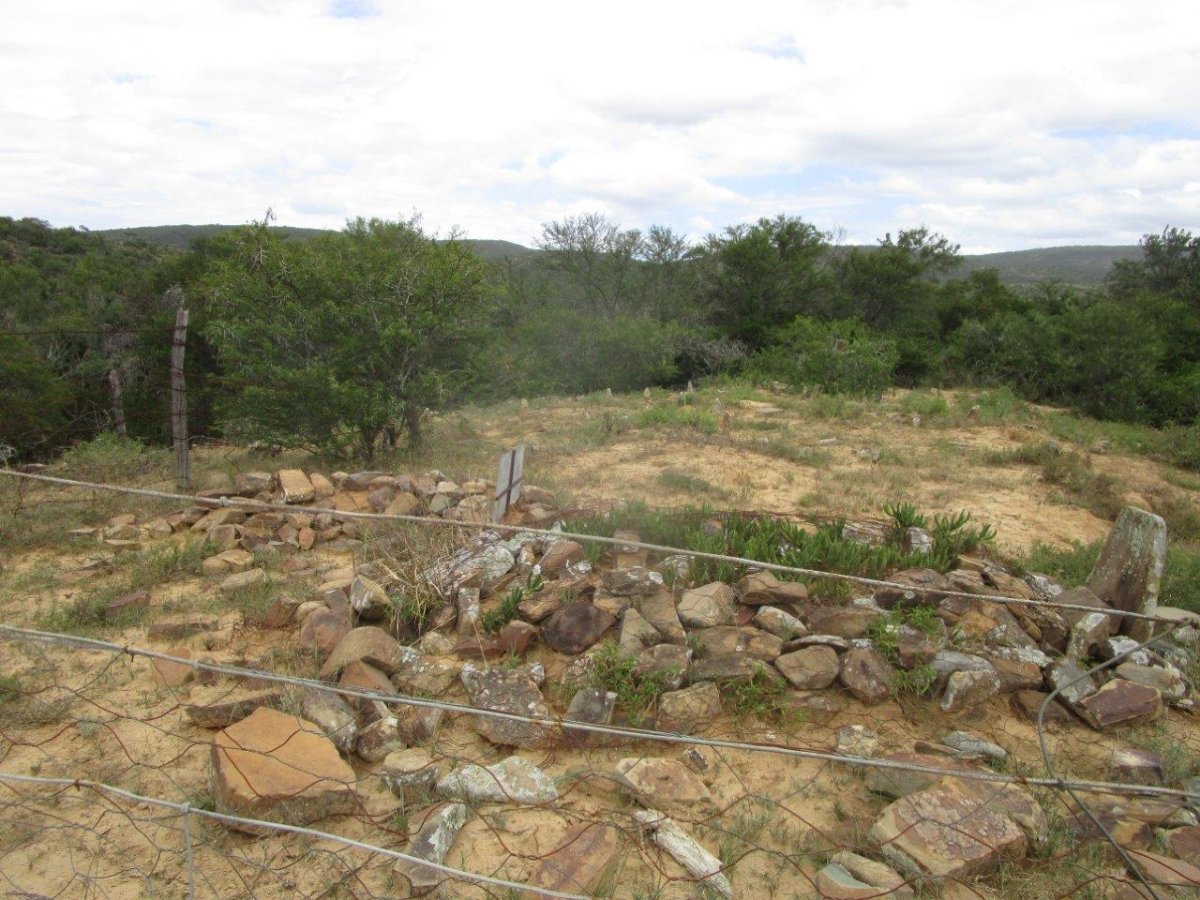 1. Oorsig/Overview