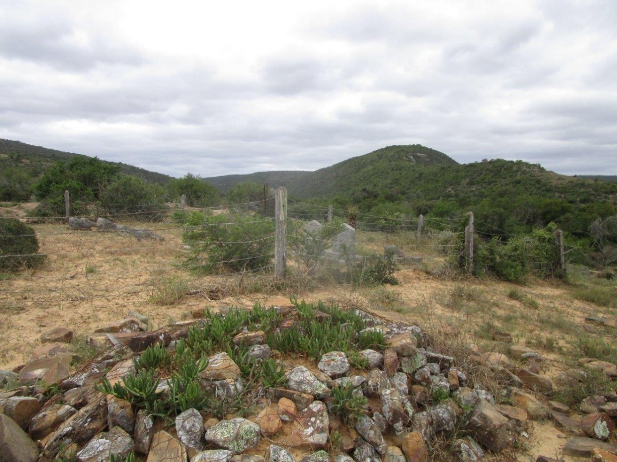 2. Oorsig/Overview
