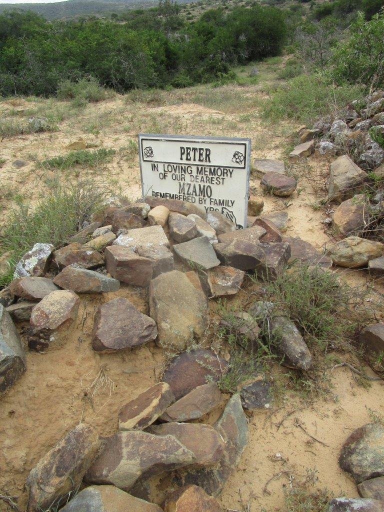 MZAMO Peter