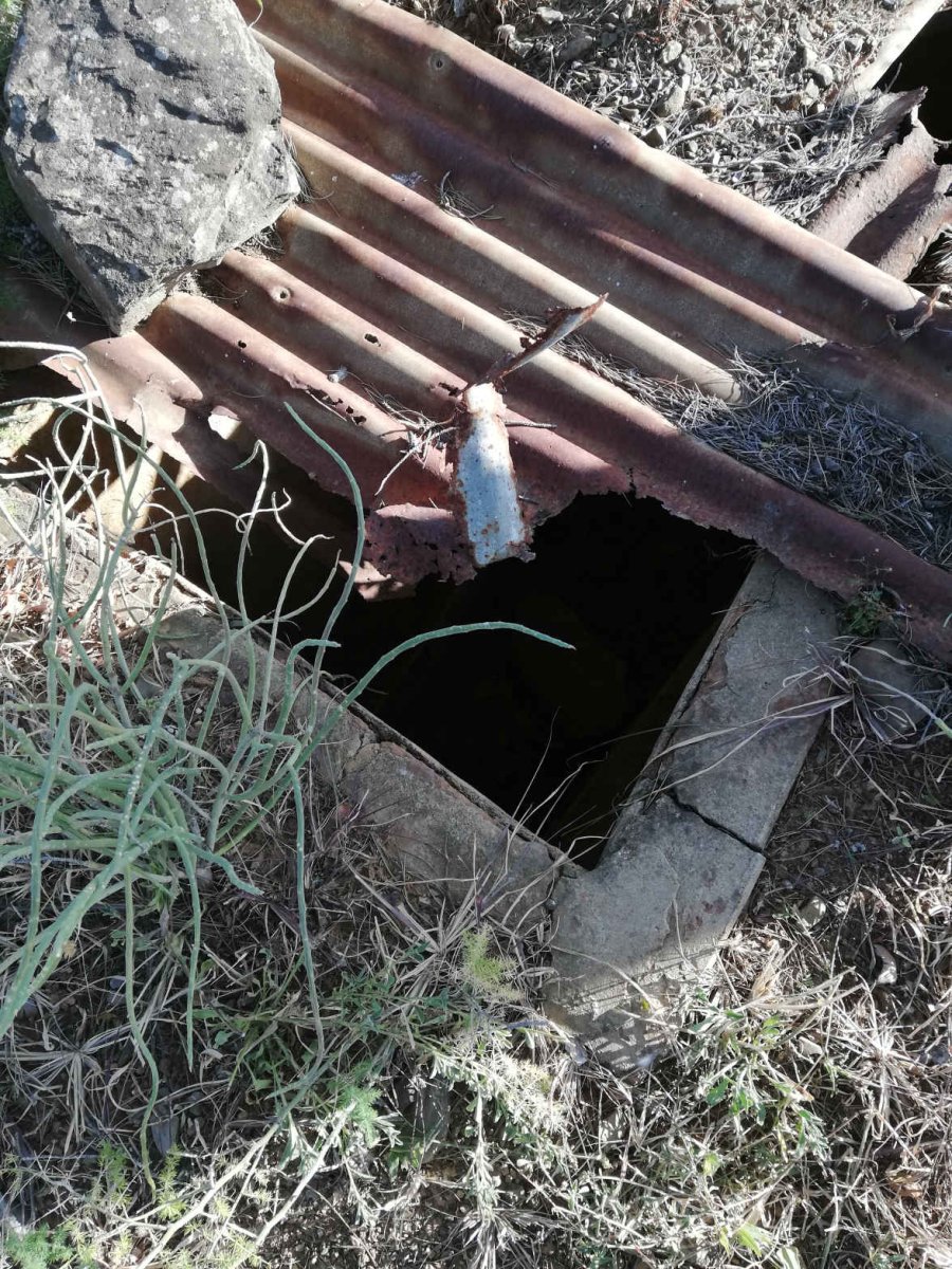 ?