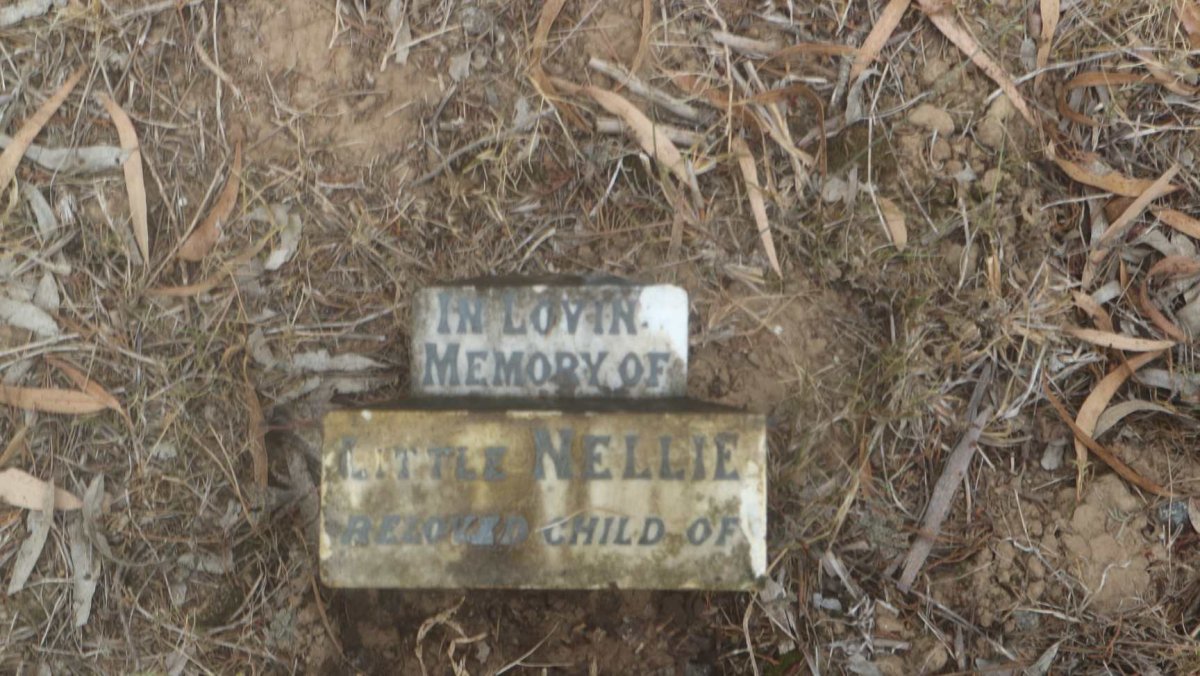 ? Nellie