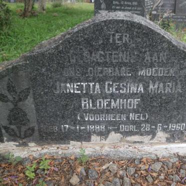 BLOEMHOF Janetta Gesina Maria formerly NEL 1888-1960