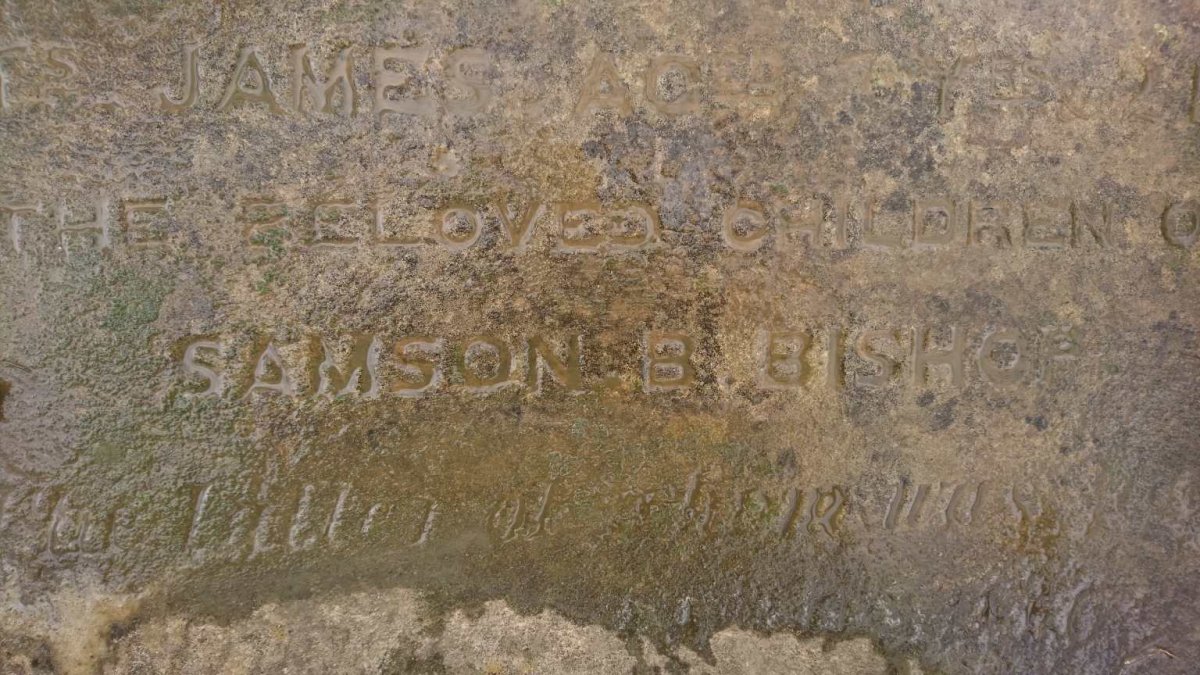 BISHOP Samson Henry :: BISHOP William Henry :: BISHOP James