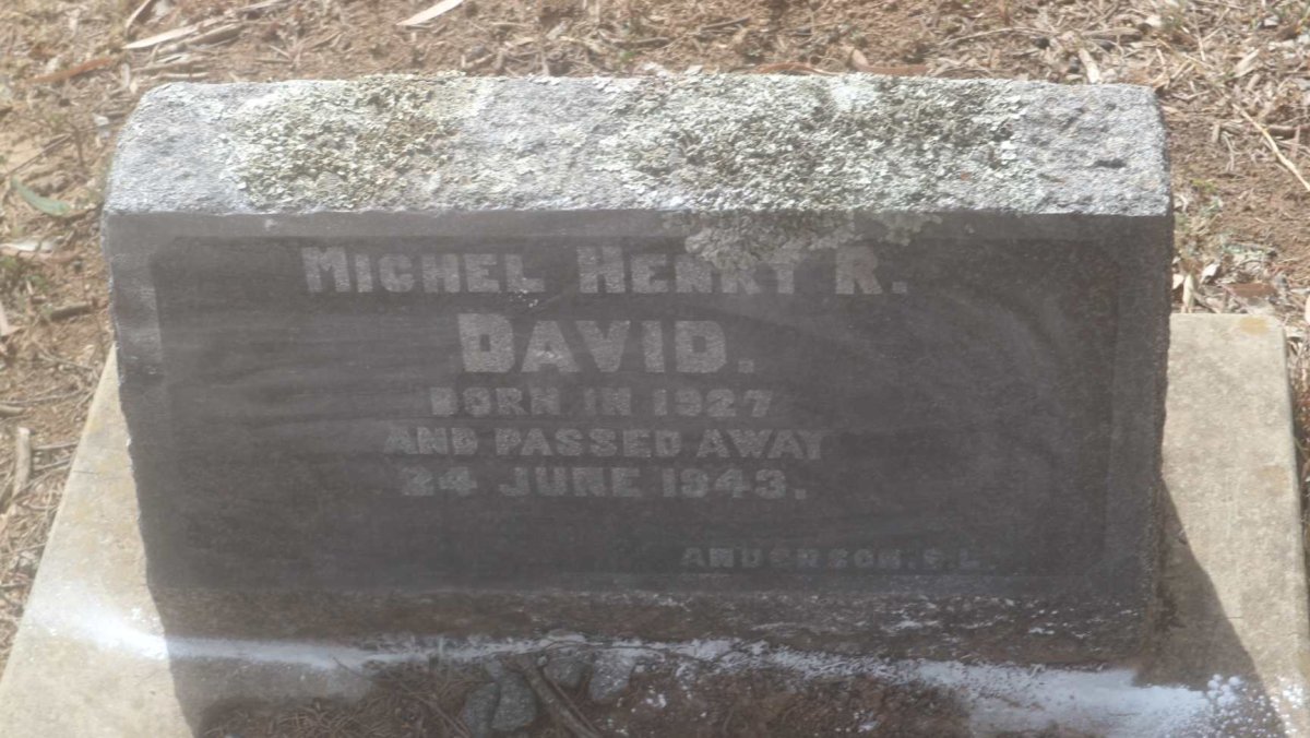 DAVID Michel Henry R. 1927-1943