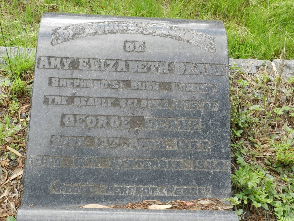 DEANE Amy Elizabeth 1867-1934