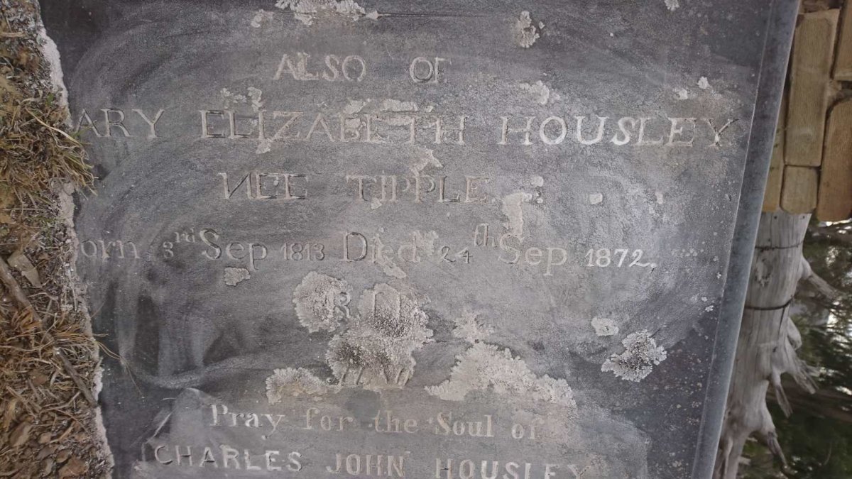 HOUSLEY Mary Elizabeth nee TIPPLE 1813-1872