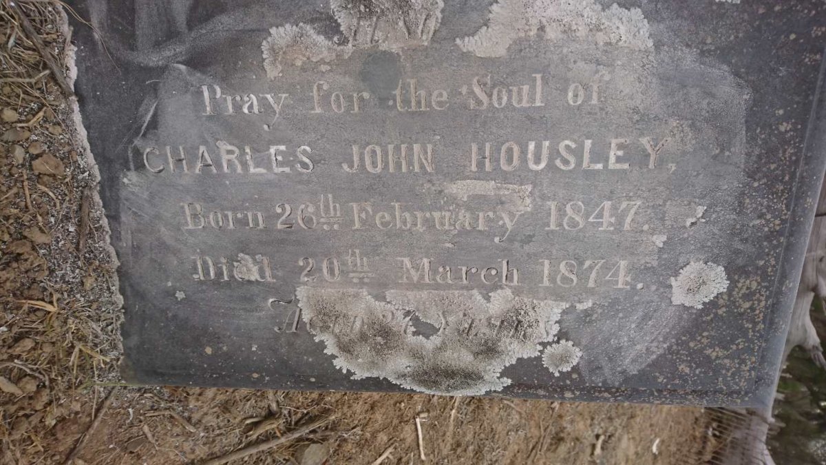 HOUSLEY Charles John 1847-1874