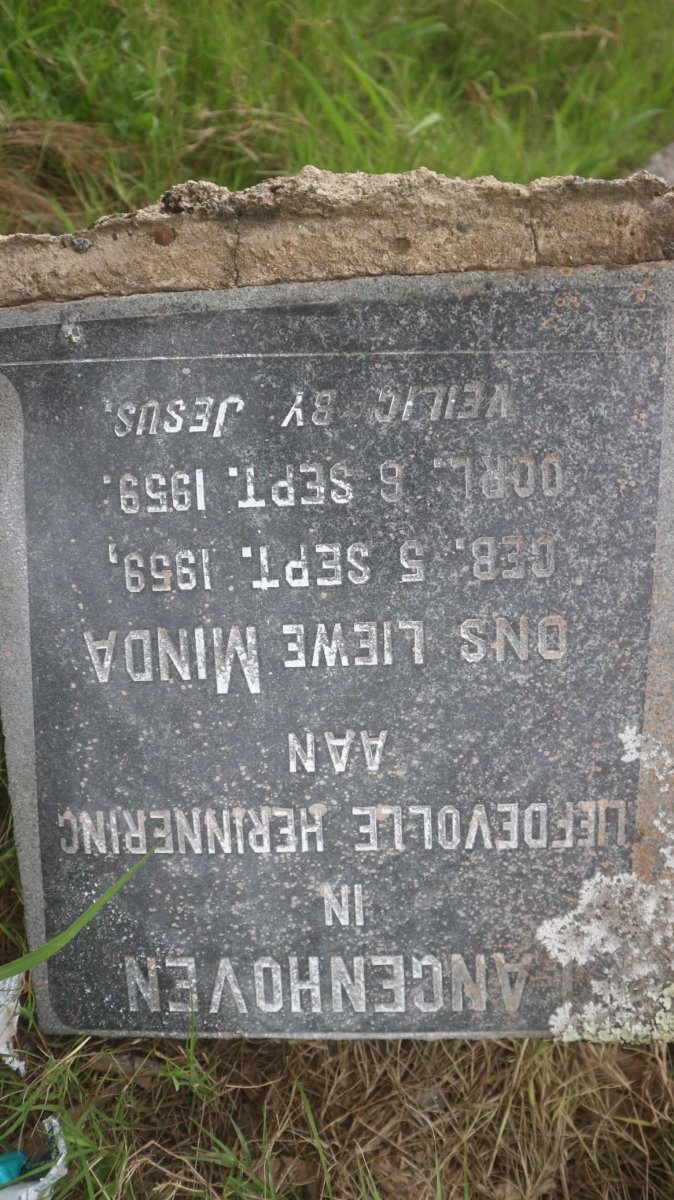 LANGENHOVEN Minda 1959-1959