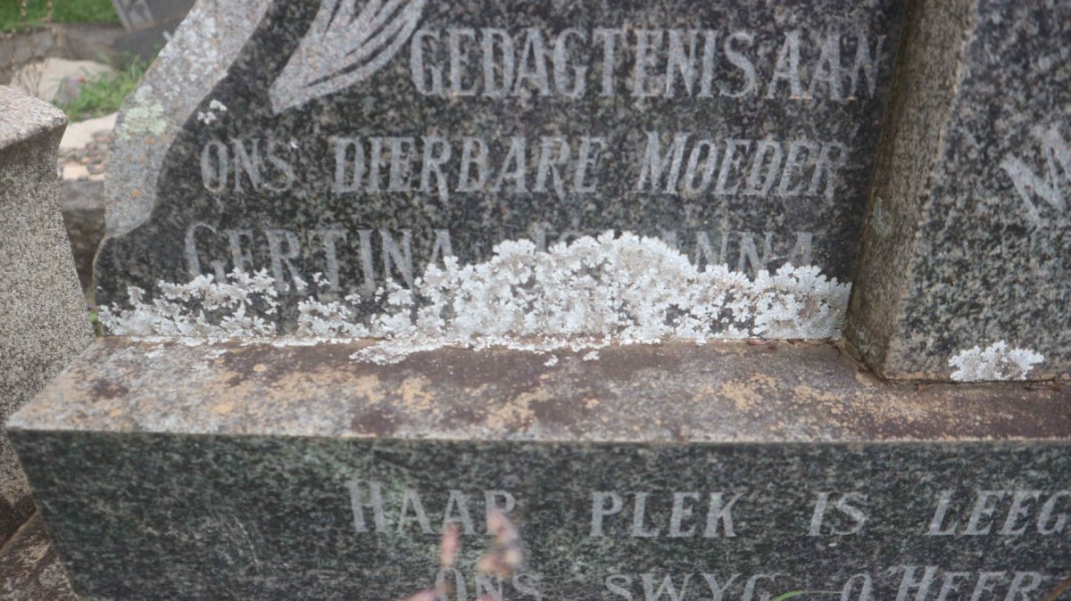 MULLER Stephen 1892-1962 &amp; Gertina Johanna 1897-1965