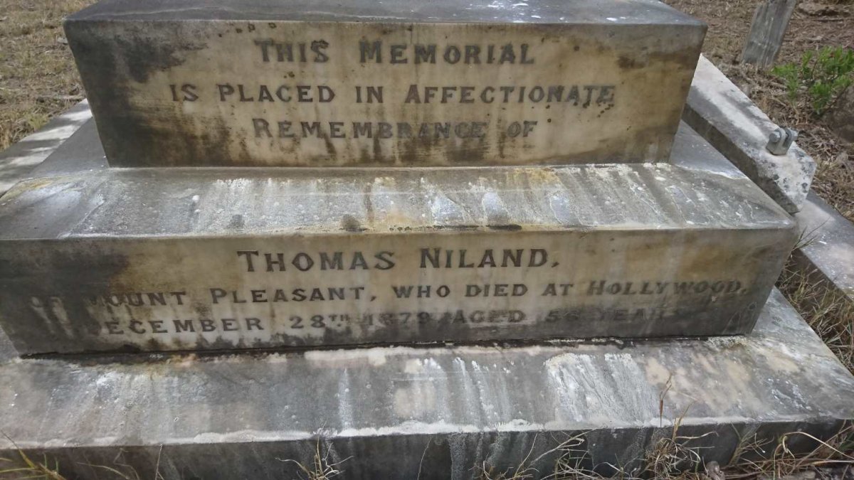 NILAND Thomas -1879