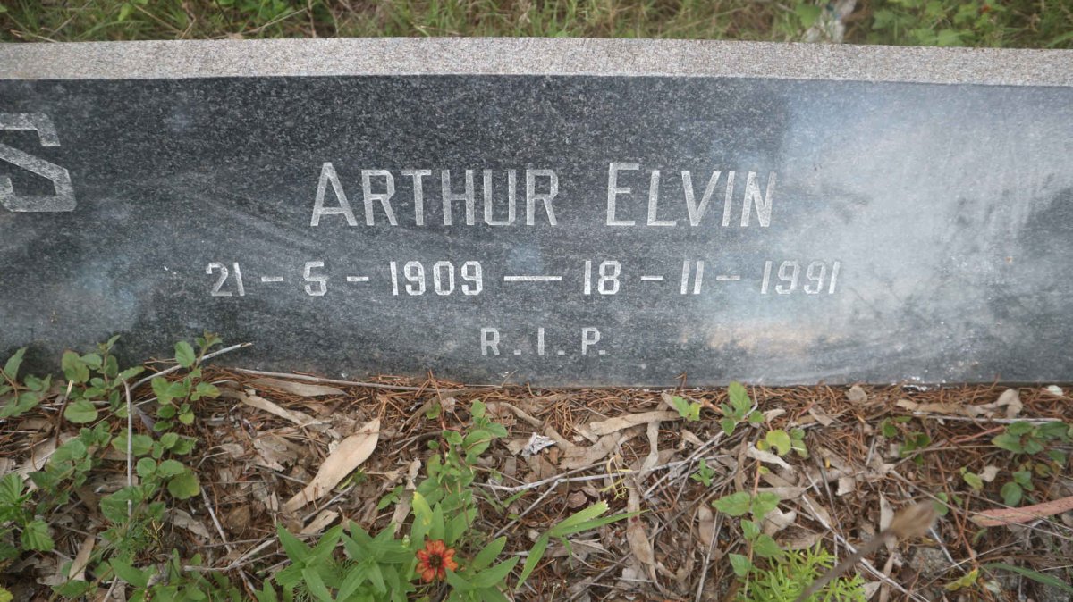 NEUWENHUIS Arthur Elvin 1909-1991