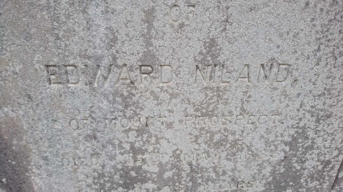 NILAND Edward -1885