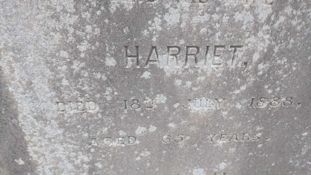 NILAND Harriet -1888