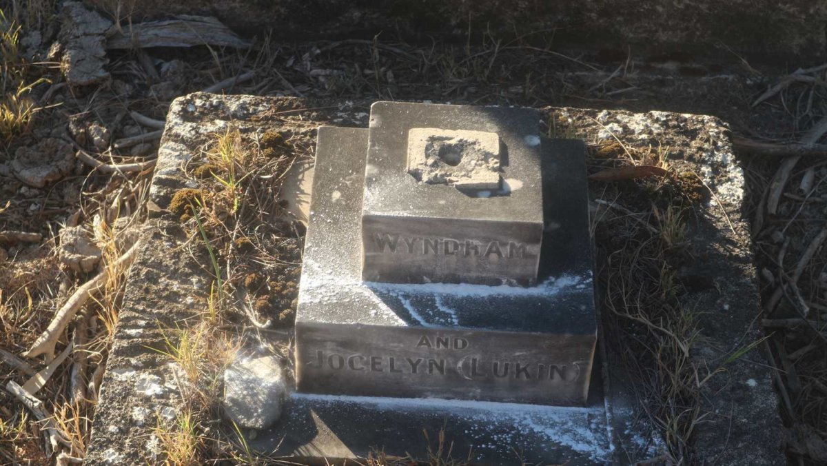 NILAND Wyndham :: NILAND Jocelyn Lukin