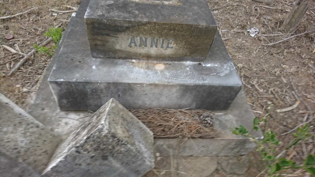 ? Annie