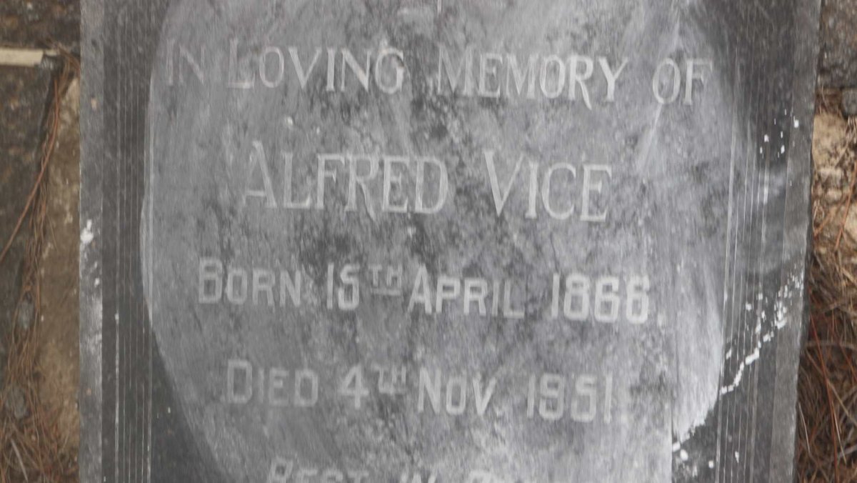VICE Alfred 1866-1951