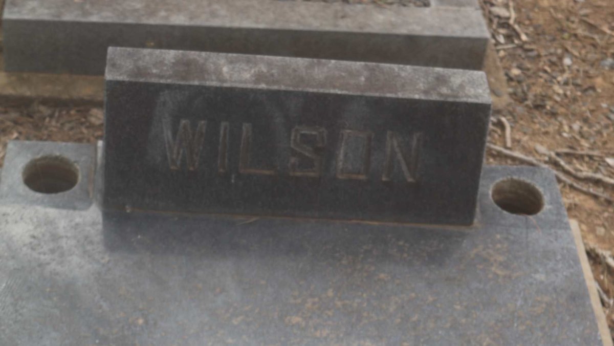WILSON Cecil 1913-1978