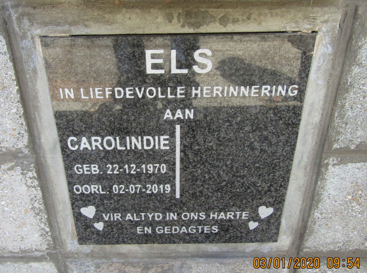 ELS Carolindie 1970-2019