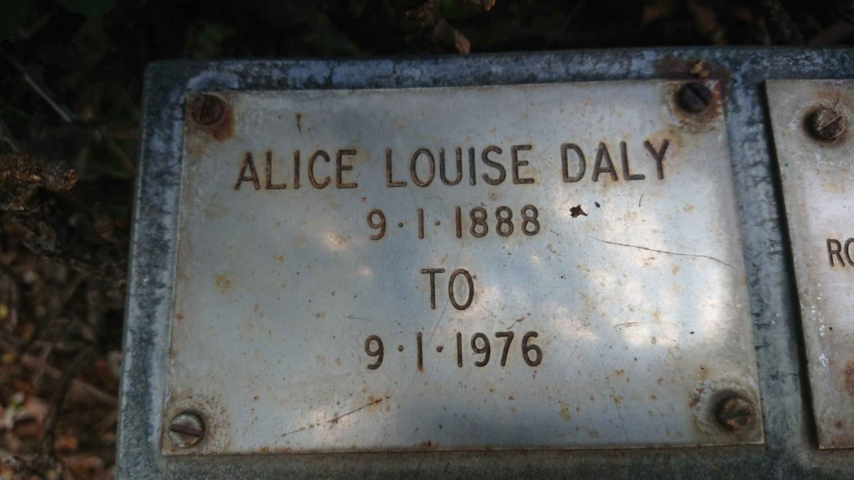 DALY Alice LOUISE 1888-1976