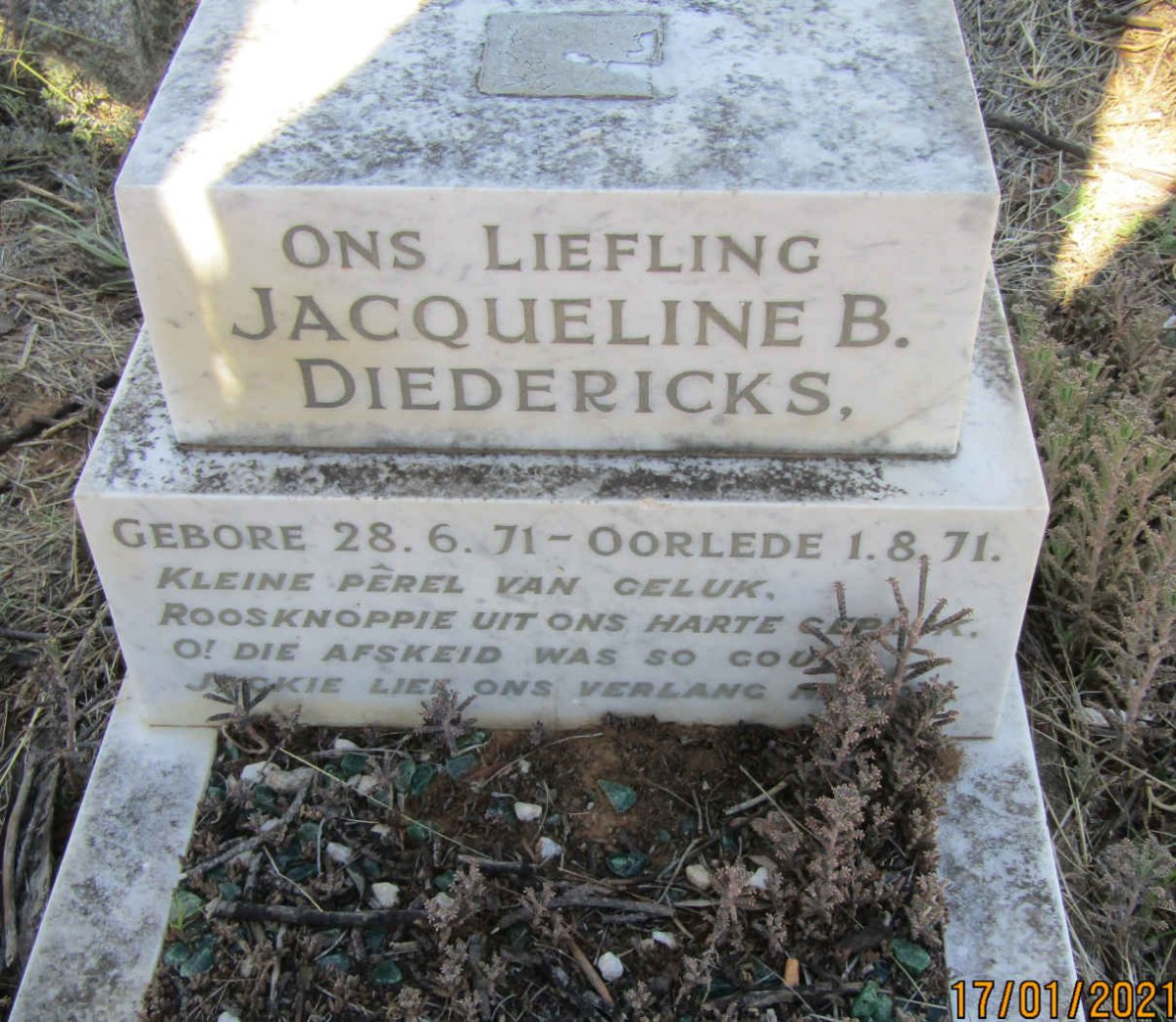 DIEDERICKS Jacqueline B. 1971-1971