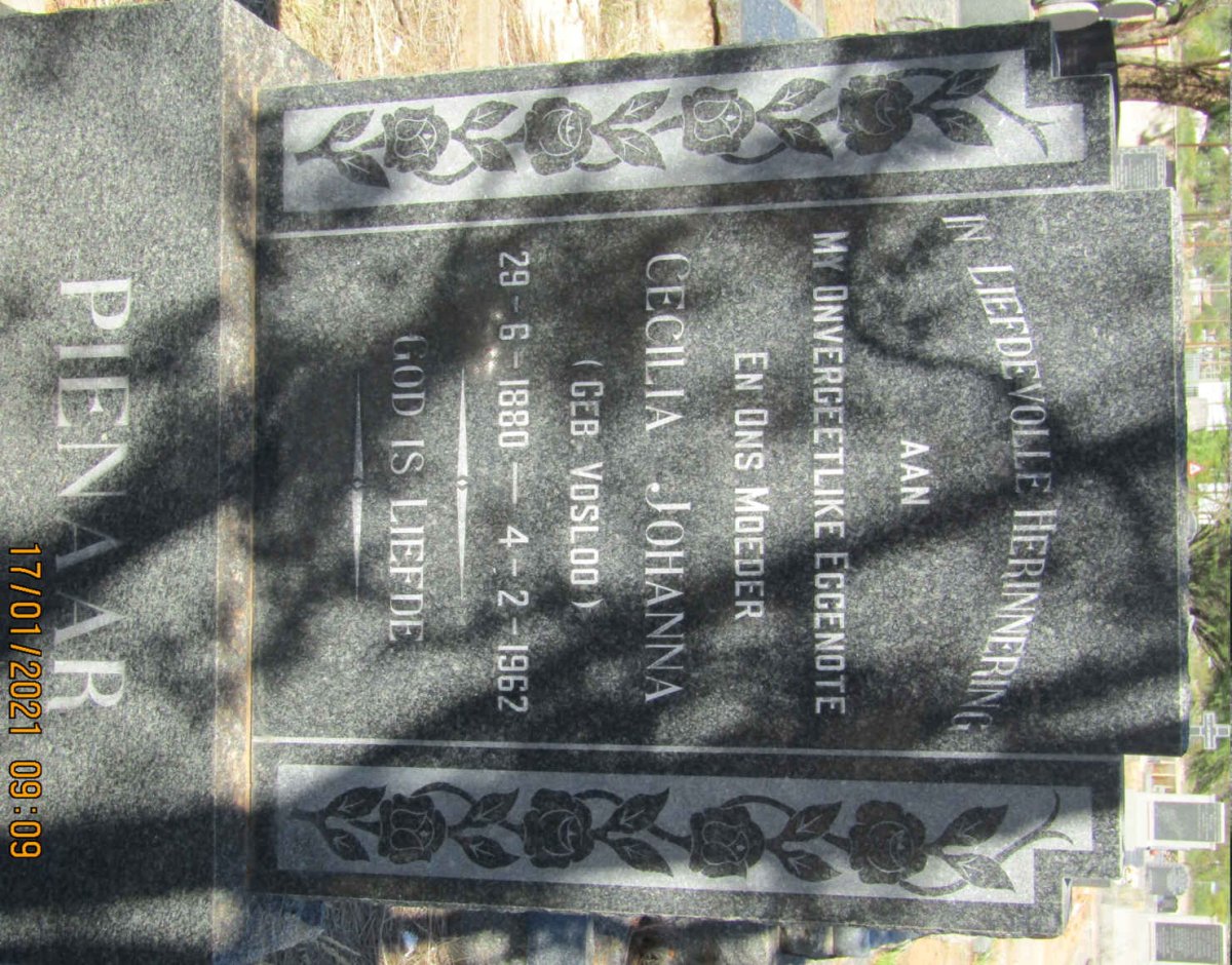 PIENAAR Cecilia Johanna nee VOSLOO 1880-1962