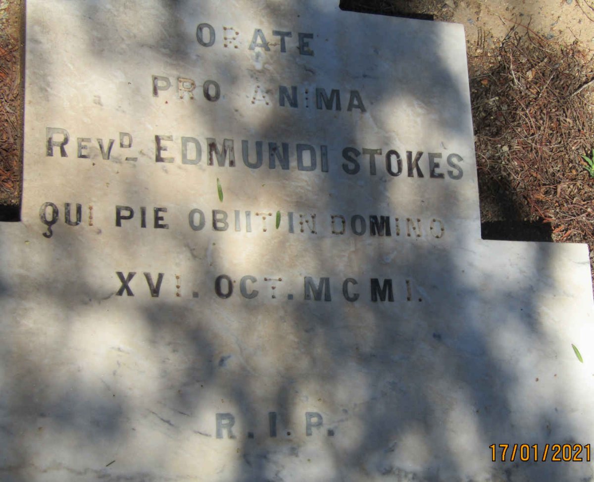 STOKES Edmundi  -1901